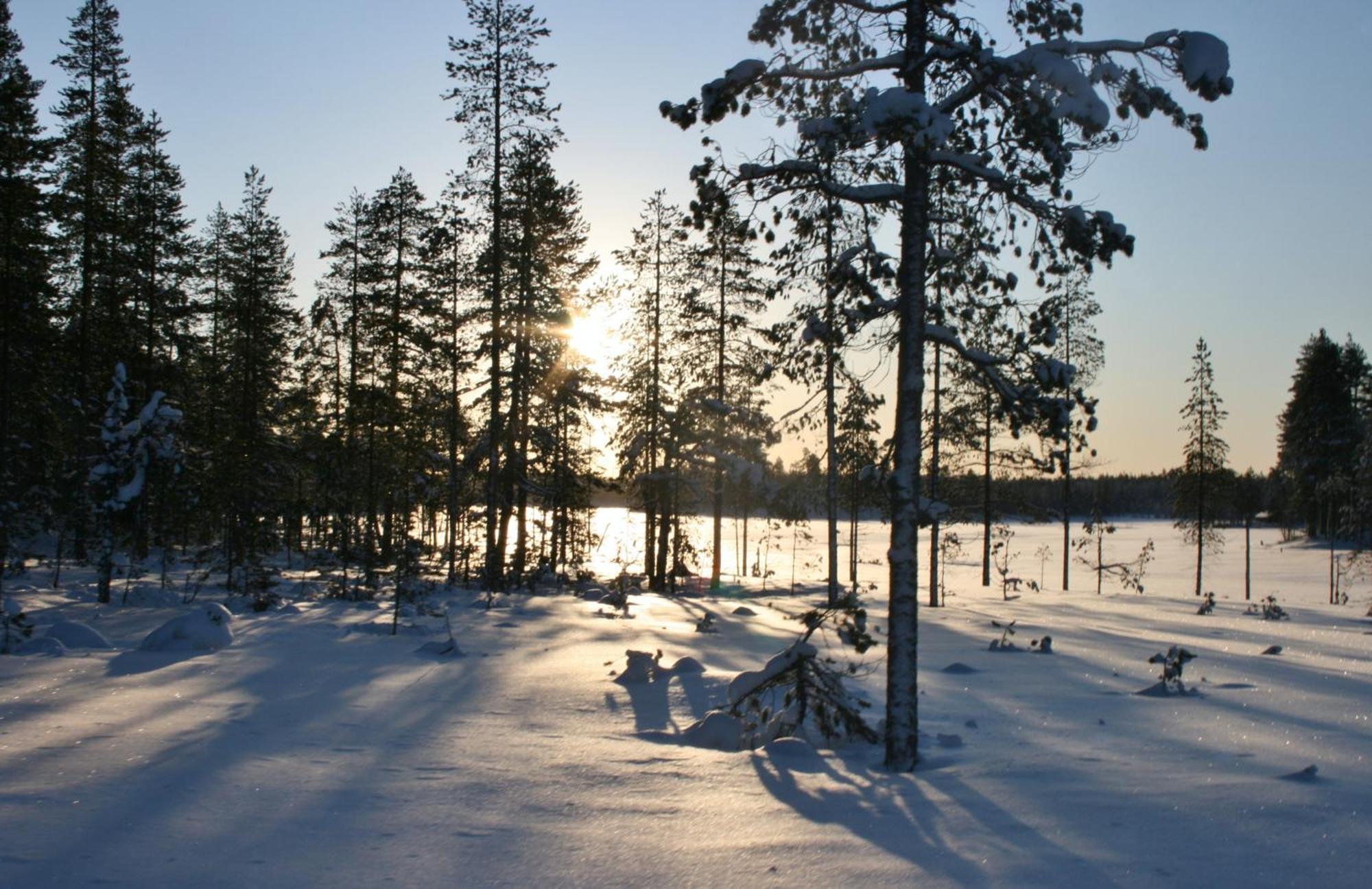 Rutsbrogarden Campsite