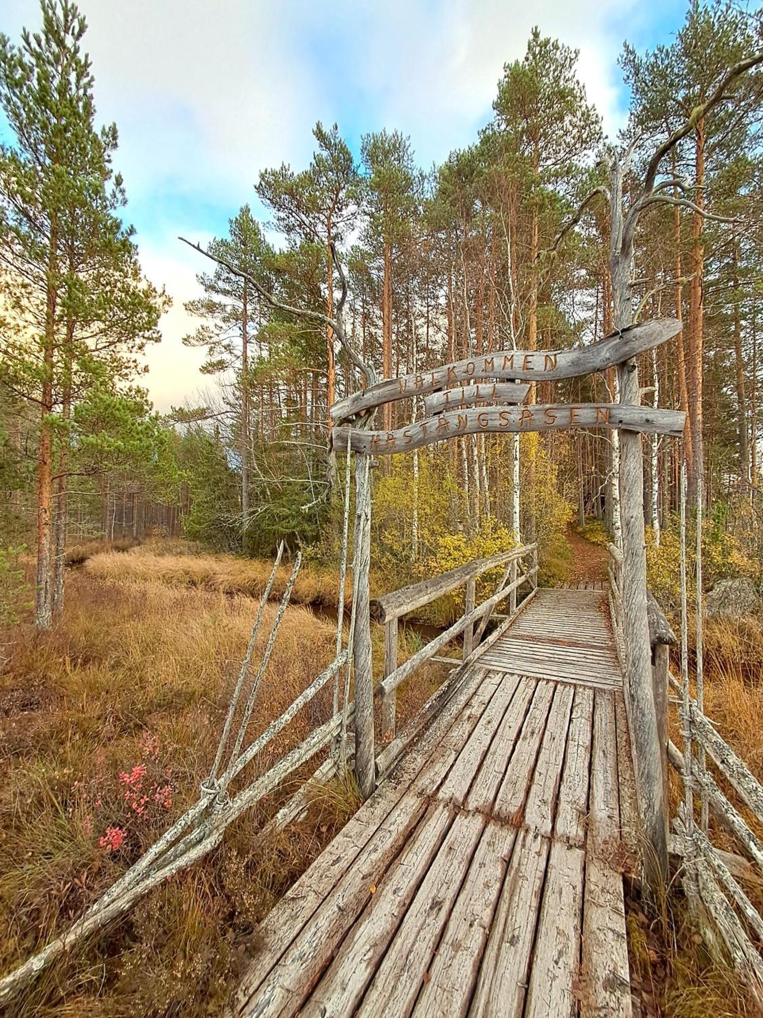 Rutsbrogarden Campsite *